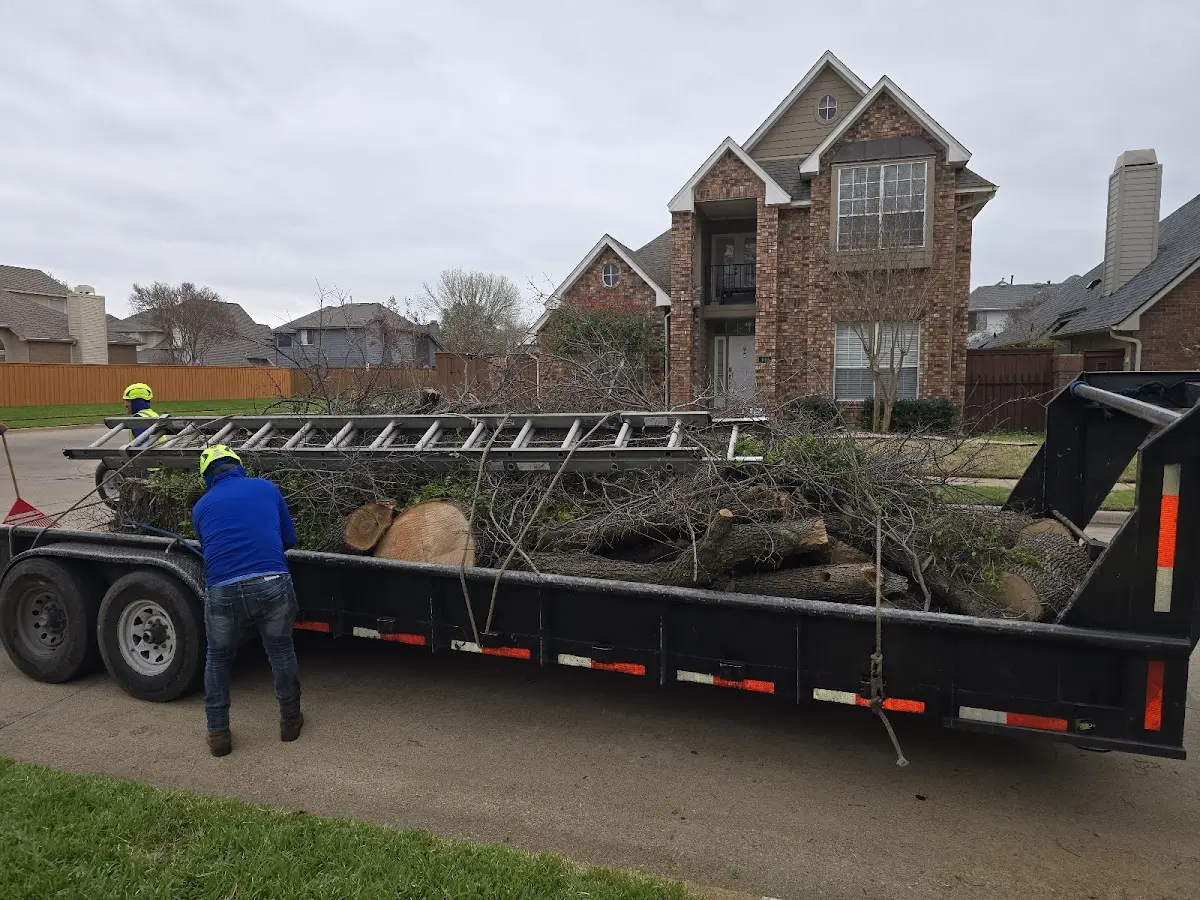 Expert Crown Reduction with proper safety equipment in Meridianville